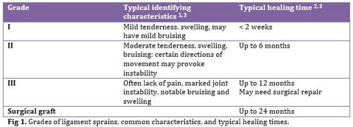 Table of ligament injury grades