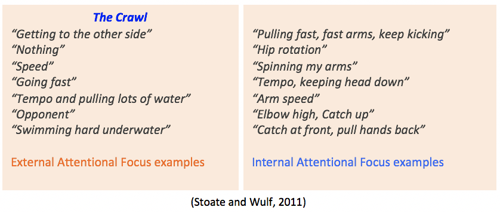 Focus cue examples for swimmers